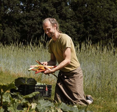 Buitenkok Renier Rabarber Oogsten