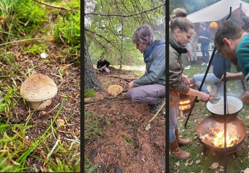 Paddenstoelen wildplukken en buitenkoken