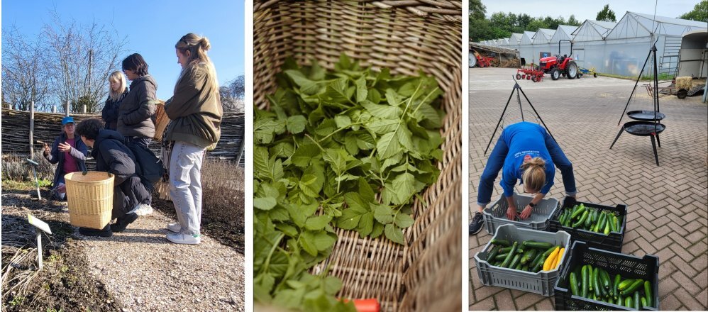 3 fotoos van wildplukken en biologische landbouw