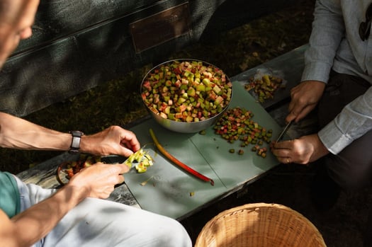 Voor de appelcake is er in de zomer rabarber te oogsten in Arnhem bij Hoeve Klein Mariendaal